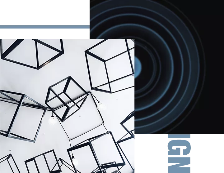 Professional Service System